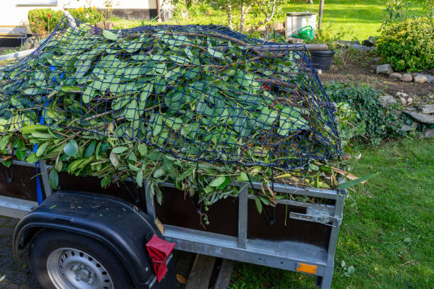 Best Residential Junk Removal  in Wild Peach Village, TX